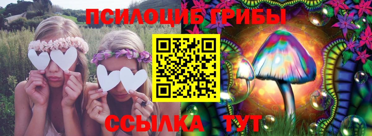 Бугульма  Галлюциногенные грибы Psilocybe  Галлюциногенные грибы мухоморы  Вход с VPN 